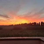 Rosa Bianca A Vada Rosignano Marittimo