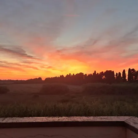 Rosa Bianca A Vada Rosignano Marittimo