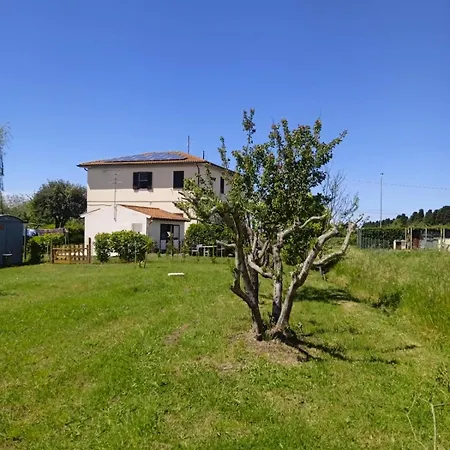 Appartement Rosa Bianca *